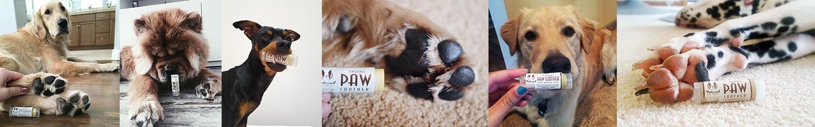 PawSoother_TrStick_web